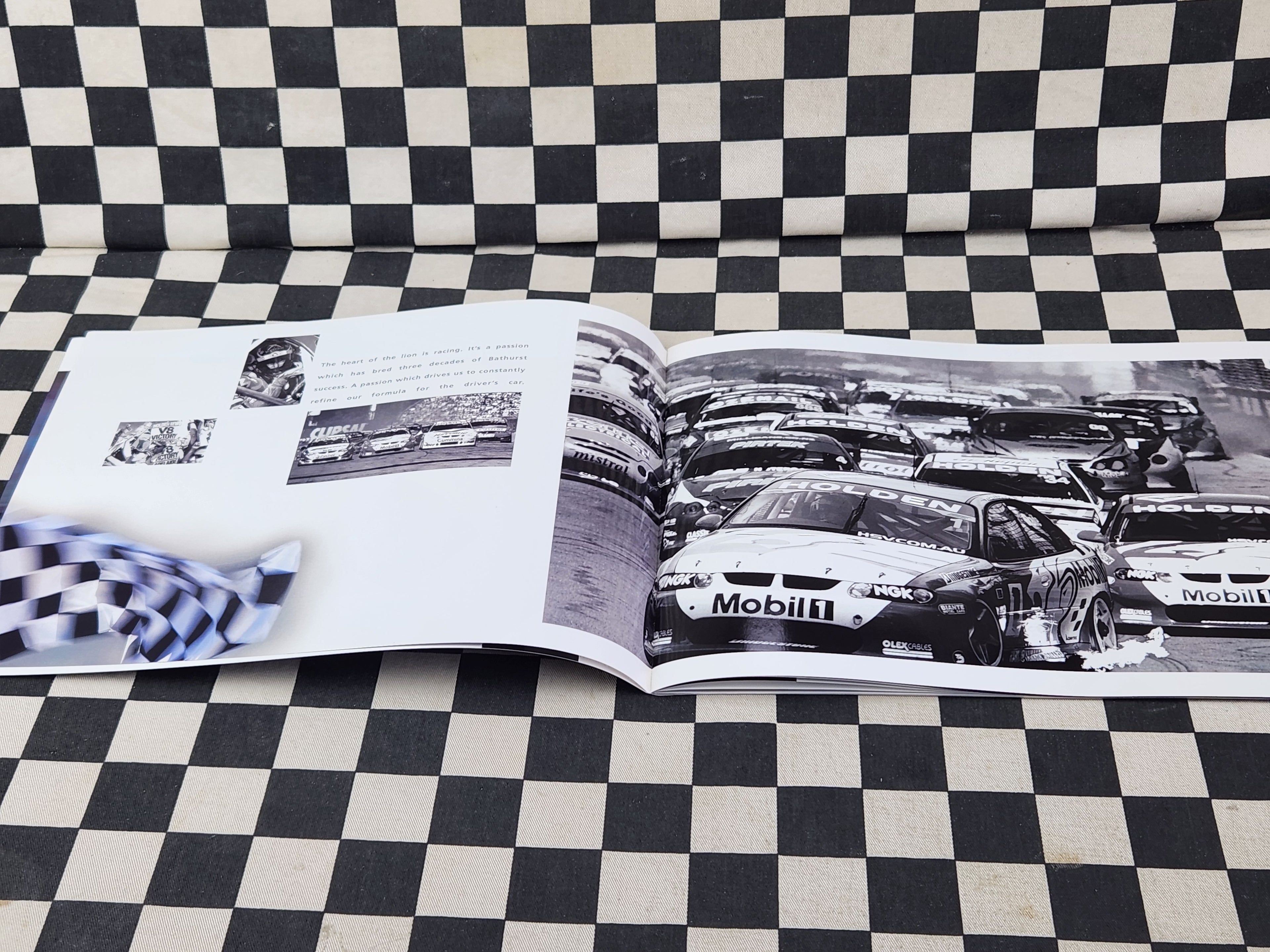 VY Holden Commodore Executive Acclaim SV6 SV8 SS Sales Brochure
